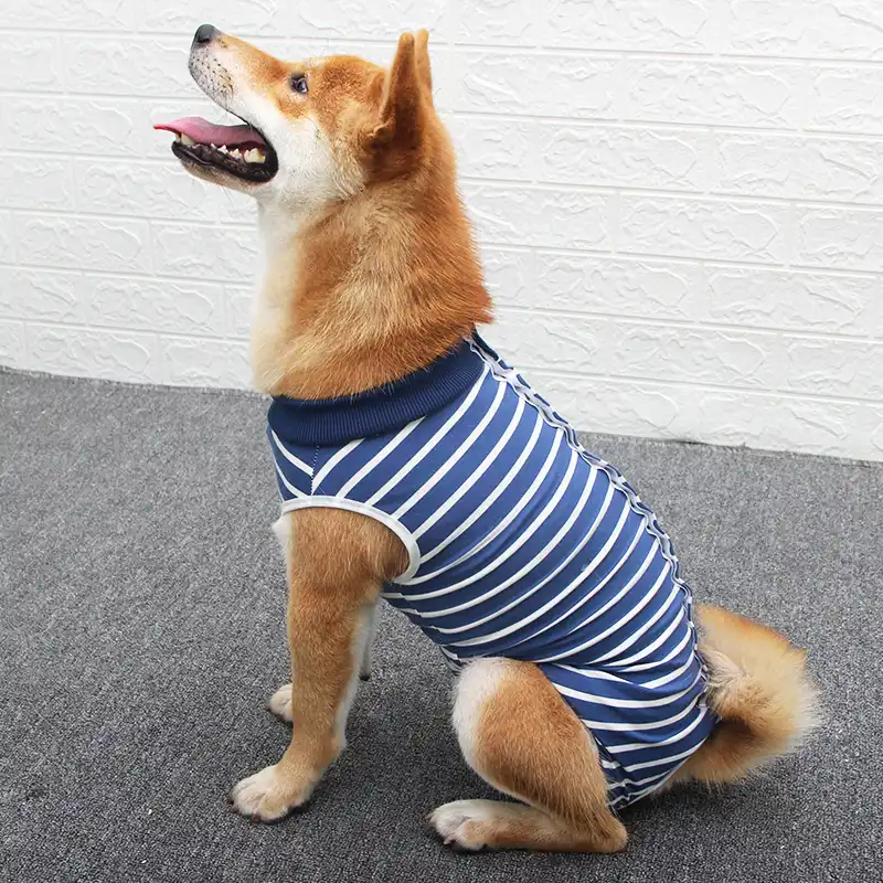 Dog Recovery Suit Surgical Onesie for Dogs - Striped