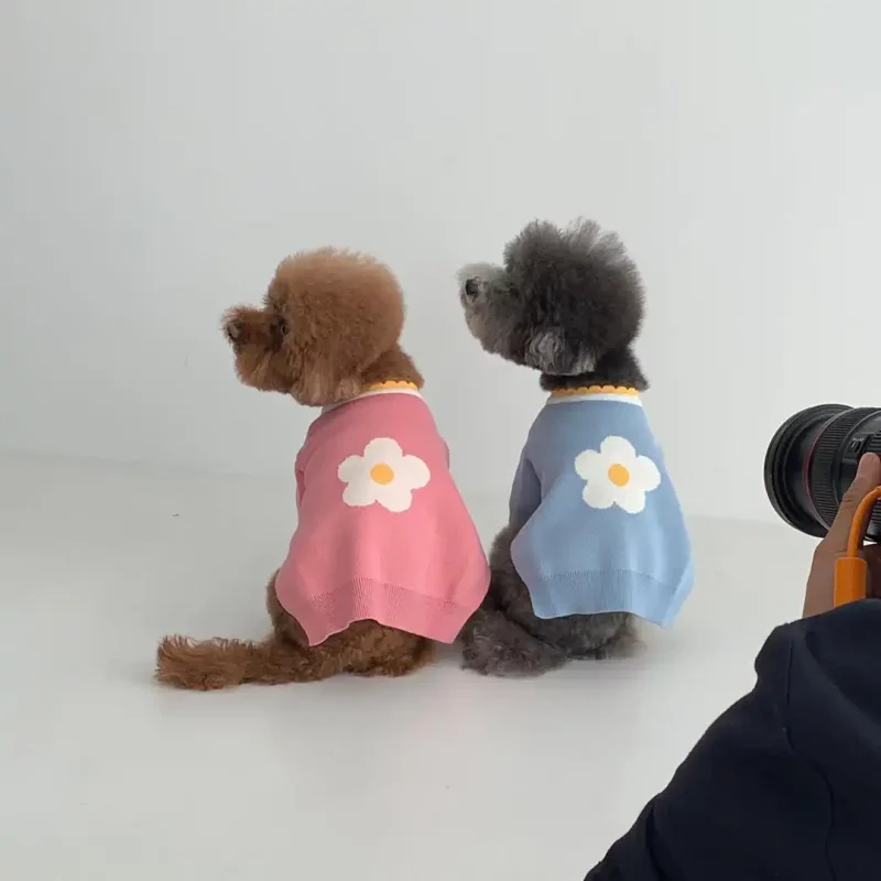 Flower Pullover Sweater for Small Dogs