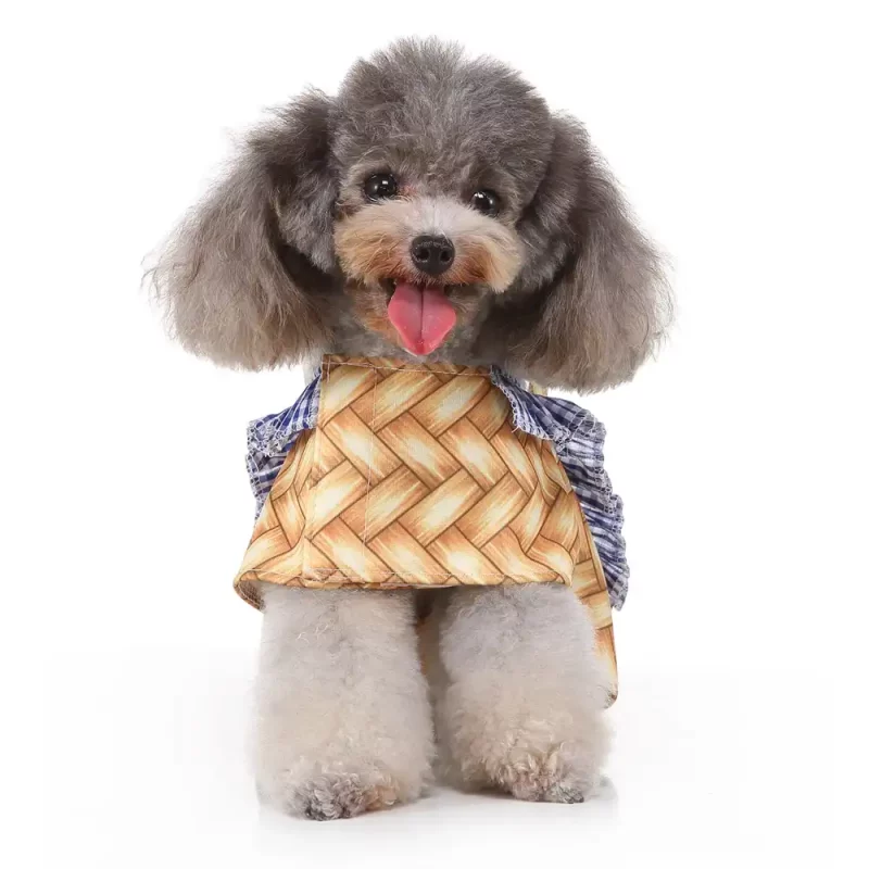 Halloween Basket Dog Costume for Small Dogs