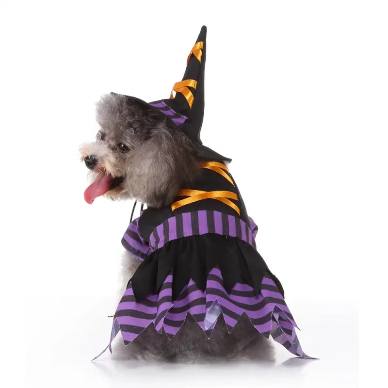 Halloween Witch Costume for Dogs