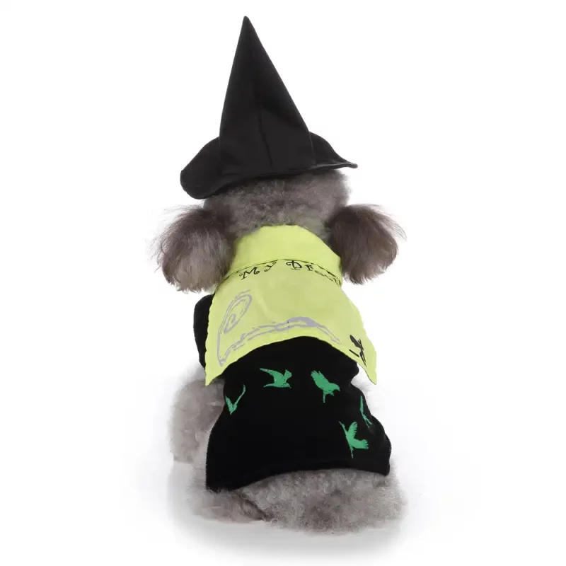 Halloween Wizard Costume for Puppies