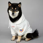 NASA American Flag Hoodie for Dogs