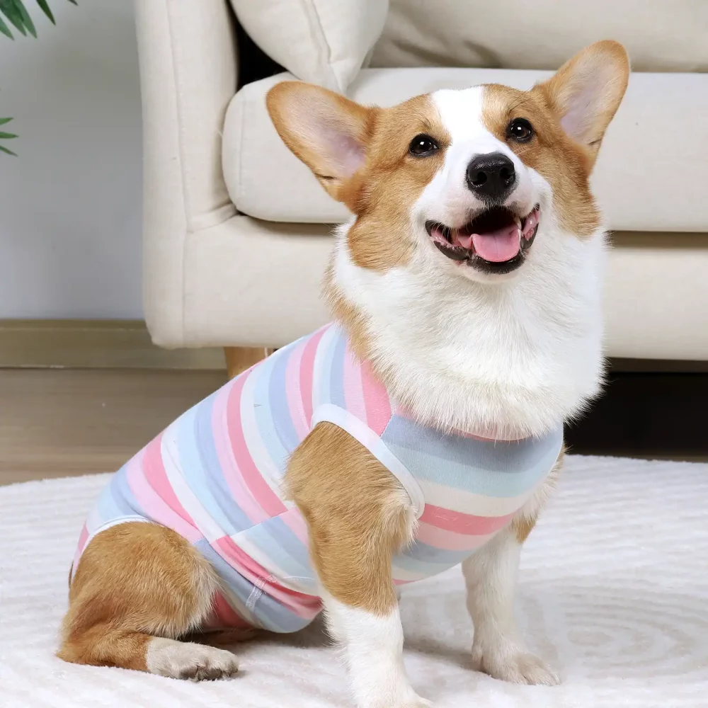 Striped Snap After-surgery Pajamas for Dogs