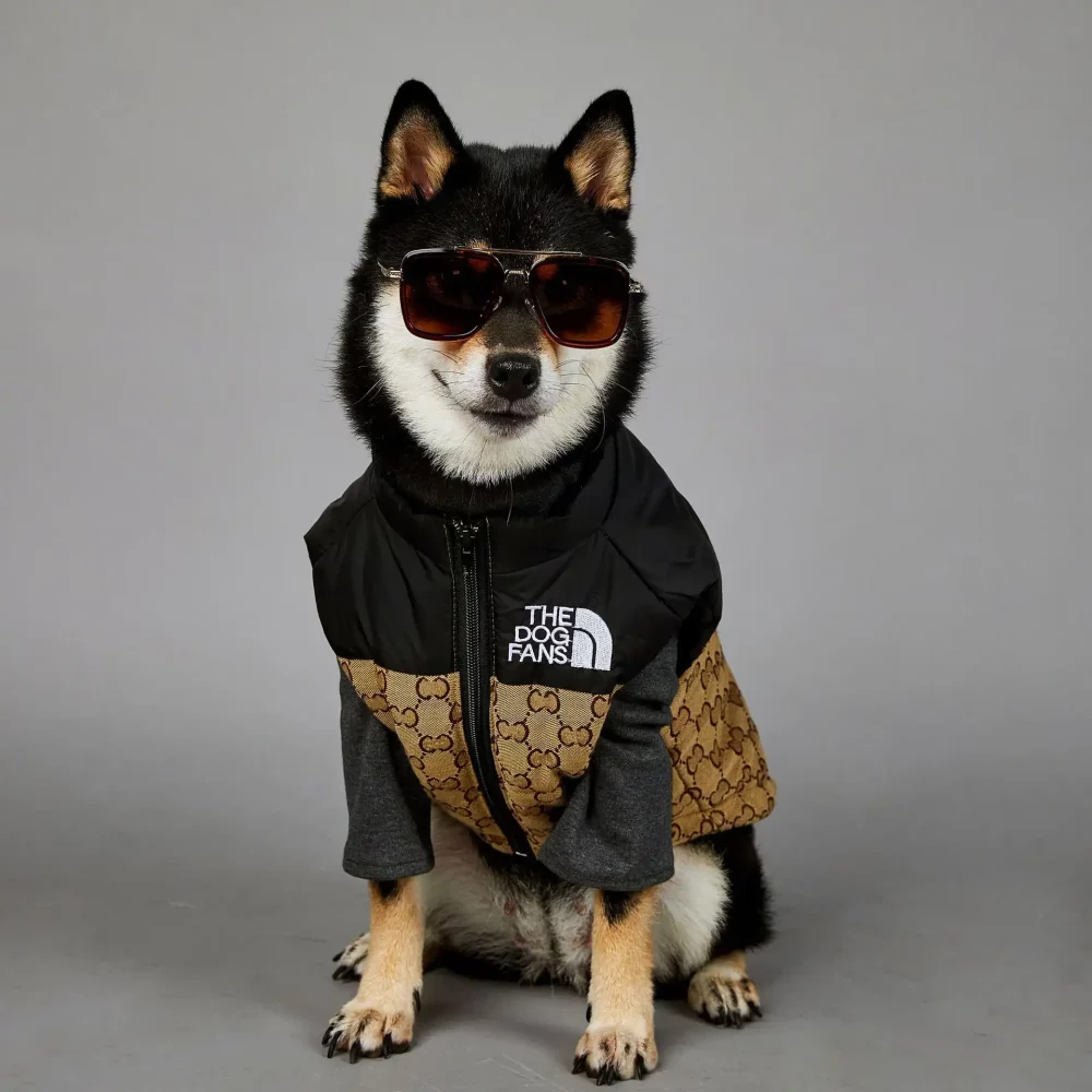 The Dog Face Gucci Designer Dog Winter Jacket