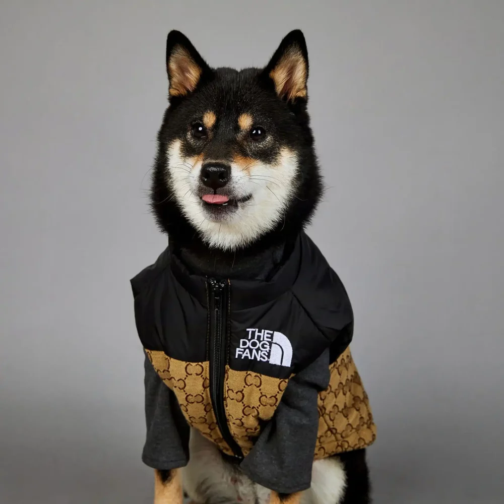 The Dog Face Gucci Designer Dog Winter Jacket