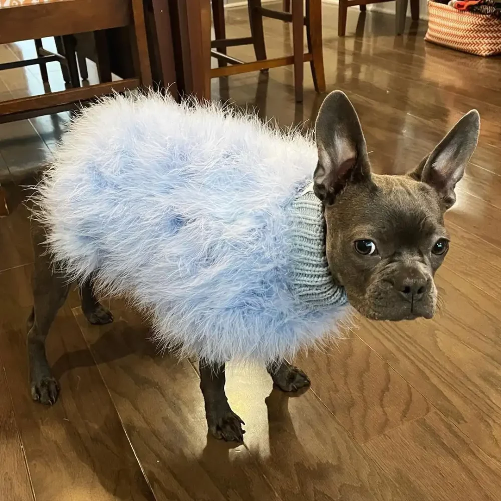 Turkey Feather Luxury Sweaters for Dogs
