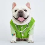 Winter Corduroy Green Jacket for Pets