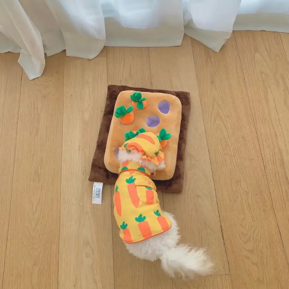 Cute Carrot Pajamas Set for Dogs